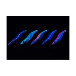 Yamashita Egi-Oh K Shallow Reef #3.5S - Image 3