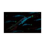 Yamashita Egi-Oh Live Search #3.5 - Image 17