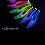 Yamashita Καλαμαριέρες Egi-Oh Search Neon Bright #3.5 - Image 11