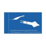 Καλαμαριέρα Γουρουνάκι Yamashita Upper 95 - Image 2