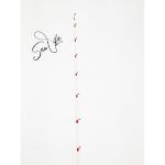 Combo Tai Rubber Tai Cast 2m/c.w 60-150gr + Ryobi i-xorne ES - Image 9