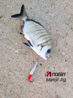 Πλάνος Ψαρέματος NOEBY  slow metal micro jig - Image 21