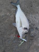 Πλάνος Ψαρέματος NOEBY  slow metal micro jig - Image 17