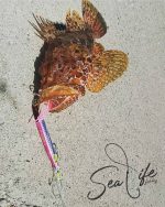 Πλάνος Ψαρέματος NOEBY Shore Jigging Stickbait 110mm 46gr - Image 14