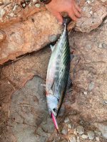 Πλάνος Ψαρέματος NOEBY Shore Jigging Stickbait 110mm 46gr - Image 16