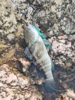 Πλάνος Ψαρέματος NOEBY Shore Jigging Stickbait 110mm 46gr - Image 15