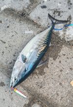 Πλάνος Ψαρέματος NOEBY  slow metal micro jig - Image 18