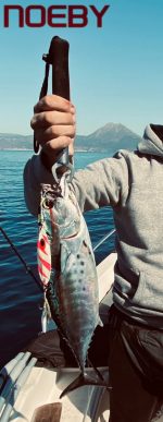 Πλάνος Ψαρέματος NOEBY 100gr/120gr/150gr/180gr Artistic Metal Slow Jigging Lure - Image 14