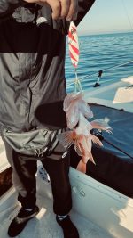 Πλάνος Ψαρέματος NOEBY 100gr/120gr/150gr/180gr Artistic Metal Slow Jigging Lure - Image 15