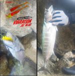 Noeby Vibration Jig Head Σιλικόνη 9cm 28gr - Image 9