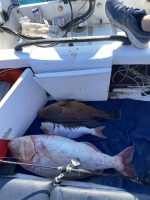 Μηχανισμός Ψαρέματος Slow Jigging Ζόκα NOEBY JG1500  Max Drag 15kg - Image 19