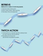 Τεχνητό Δόλωμα DYY TWITCHIN STICK 90mm / 24.5gr - Image 3