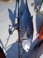 Μηχανισμός Ψαρέματος Slow Jigging Ζόκα NOEBY JG1500  Max Drag 15kg - Image 5