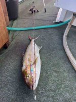 Σετ Ψαρέματος Slow Jigging NOEBY Καλάμι Leisure  και Μηχανισμός  Gainers - Image 26