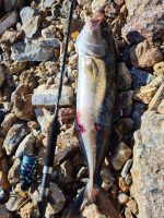 Καλάμι ψαρέματος Shore Jigging NOEBY Legend6 Shore Jigging Heavy Game Rod 2.75m / c.w: MAX 110gr / MAX 160gr - Image 4