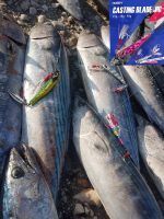 Πλάνοι Ψαρέματος NOEBY Casting Blade Jig Combo x4 και Θήκη τεχνητών M Sea Life Fishing - Image 17