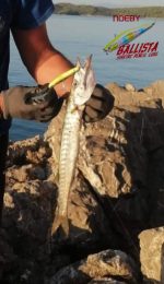 NOEBY Ballista Sinking Pencil 99mm / 28gr - Image 21