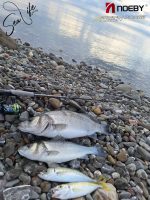 Καλάμι Ψαρέματος NOEBY KEEN FORCE Carbon Spinning Rod 2.59m / 2.75m / 2.90m - CW: 5-25gr / 7-35gr - Image 14