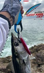 NOEBY Αναδιπλούμενη πιάστρα - Grip Aluminium alloy Color: Blue / Green / Red - Image 11