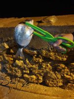 NOEBY Fishing Grip - Δαγκάνα Ψαλίδι LRF - Image 8