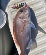 Πλάνος Ψαρέματος NOEBY 60gr / 80gr Artistic Metal Slow Jigging Lure + NOEBY Jigging Twin Assist Hook 2/0 - Image 24