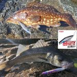 NOEBY Ballista Sinking Pencil 99mm / 28gr - Image 22