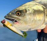 Τεχνητό Δόλωμα  NOEBY Bloop Bloop Popper 105mm 24gr - Image 15