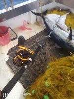 Σετ Ψαρέματος Boat Fishing Καλάμι Five Stars και Μηχανισμός Oceanic Scorpio - Image 11