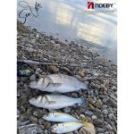 ΜΕΓΑΛΗ ΠΡΟΣΦΟΡΑ Σετ Ψαρέματος Spinning Καλάμι NOEBY KEEN FORCE Carbon 2.59m / 2.75m / 2.90m - C.W: 5-25gr / 7-35gr και Μηχανισμός NOEBY LEGEND7 3000 / 4000 Max Drag:18kg - Image 28