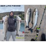 Προσφορά Σετ Surf Casting Καλάμι NOEBY Surf Master HYBRID 4.25m C.W:100 - 250gr TORAY JAPAN CARBON Fuji Guides και Μηχανισμός NOEBY INFINITE POWER 8000 - 10000 Max Drag 20kg - Image 32